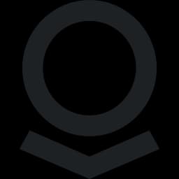Palantir Technologies Inc. Class A Common Stock logo